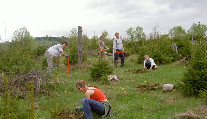 Peste 300 de hectare vor fi împădurite anul acesta - impaduriri-1313577865.jpg