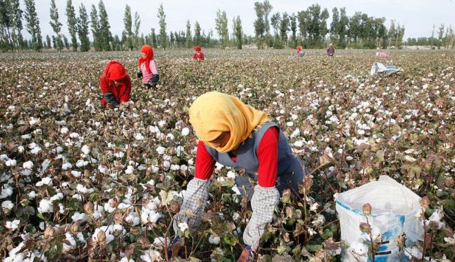 Importurile din provincia chineză Xinjiang, interzise în SUA - importurile-1626375537.jpg