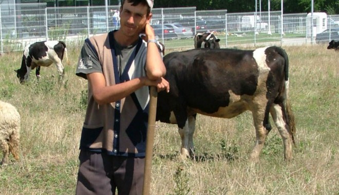În atenția producătorilor și achizitorilor de lapte - inatentia-1396370631.jpg