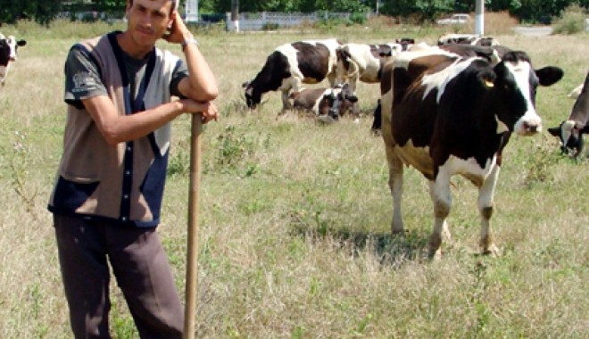 În atenția crescătorilor de animale - inatentia-1403025203.jpg