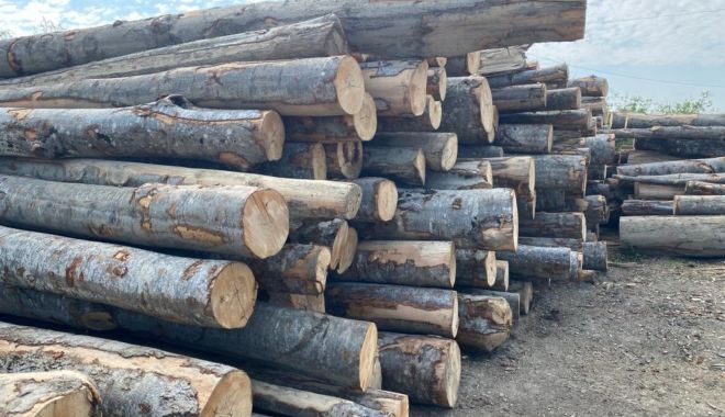 Ajutoarele de încălzire se menţin în plată până la primăvară - incalzire-1708878216.jpg