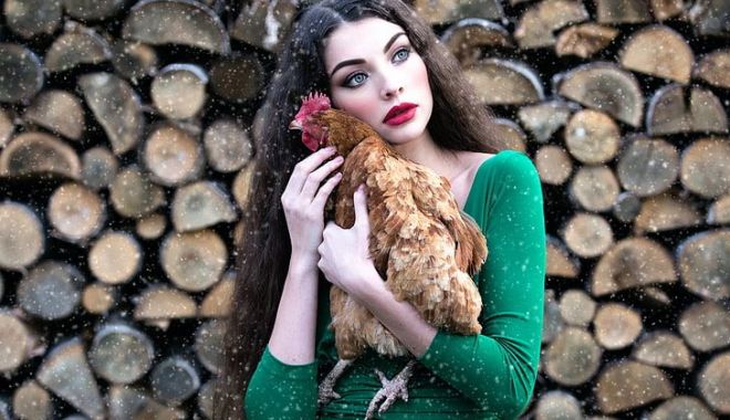 Încă o găină şi gata! - incaogainasigata-1657110085.jpg