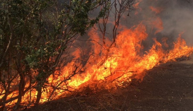 Incendii devastatoare în SUA. Zece persoane și-au pierdut viața - incediu66943500-1507619704.jpg