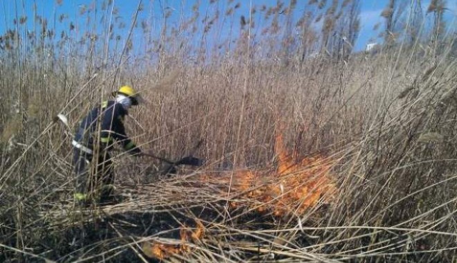 Peste 1.500 de hectare de terenuri arse  și patru sancțiuni contravenționale - incendii-1344030383.jpg