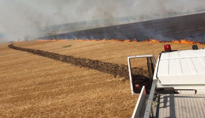 Incendiile de vegetație, pericole uriașe pentru viață, bunuri materiale  și mediu - incendii-1562947376.jpg