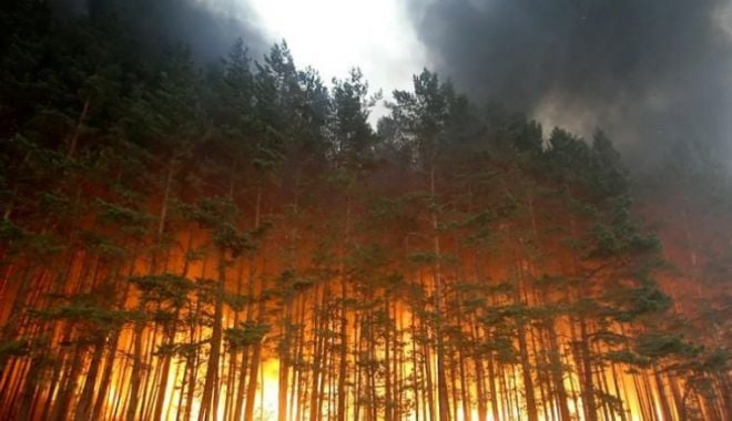 Atenționare de călătorie. Românii care merg în această țară sunt în mare pericol - incendii-1566031983.jpg