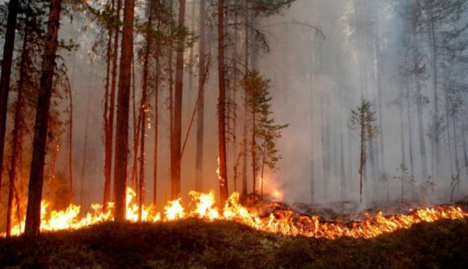 Atenționare MAE: Risc ridicat de incendii în mai multe zone din Grecia - incendii-1566543508.jpg