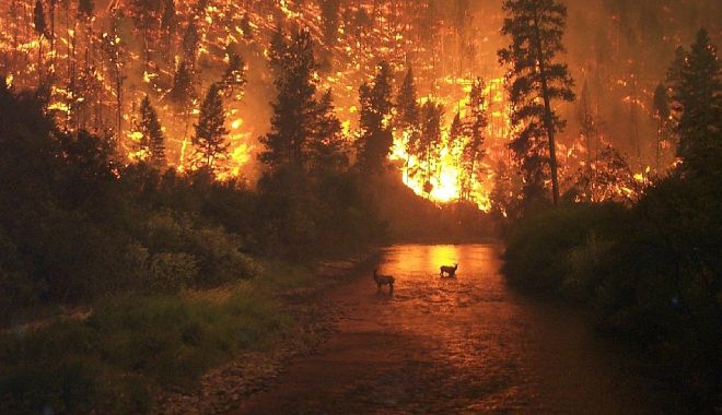 MAE, nouă avertizare pentru Grecia: Risc ridicat de incendii de vegetație pentru duminică - incendii-1566655717.jpg