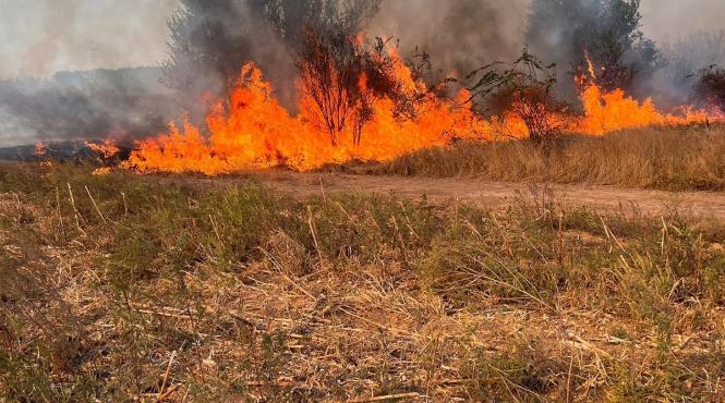 Zeci de incendii de vegetaţie provocate de oameni, pe câmpuri. Ce amenzi riscă sătenii - incendii-de-vegetatie-1740747051.jpg