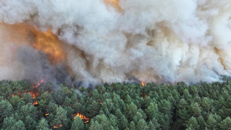 Flăcările devastează Europa: incendii de proporții în Franța, Italia și Spania - incendii-franta-1784003210.webp