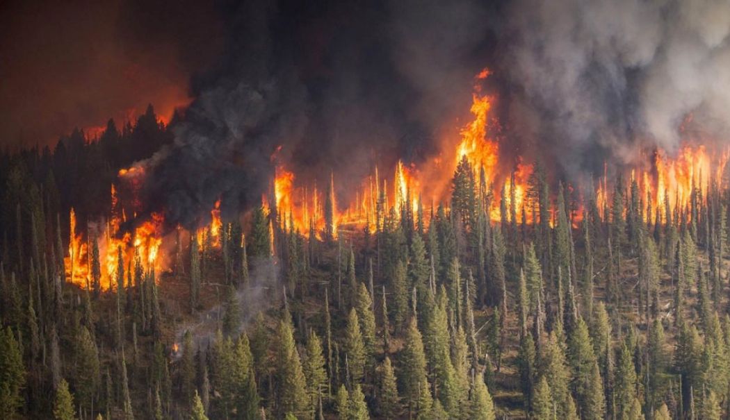 Peste 1 milion de hectare, mistuite de incendiile forestiere active în Siberia - incendii-siberia-1722257565.jpg