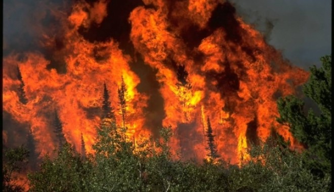 Stop incendiilor! - incendii1-1347012062.jpg