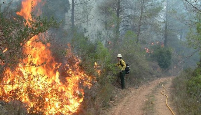 Incendii de pădure în Catalunia - incendiu-1311195580.jpg