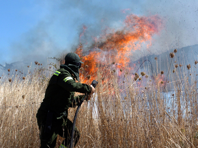 Incendiu uriaș la Cobadin - incendiu-1315342326.jpg