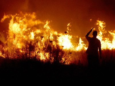 Incendiu violent de vegetație uscată și stuf la Sinoe - incendiu-1326831039.jpg