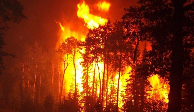 Incendiu în Rezervația Biosfera Delta Dunării - incendiu-1330532738.jpg