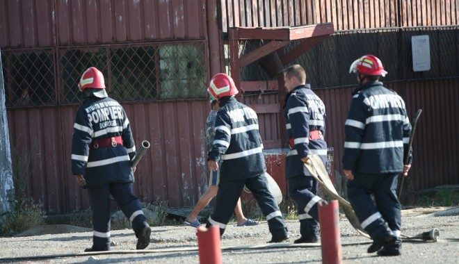 Incendiu la Stațiunea de Cercetări Ovine Palas - incendiu-1336486394.jpg