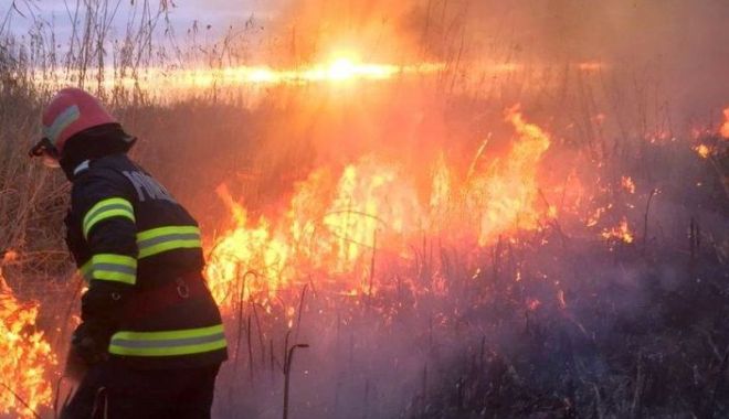 Incendiu de proporții în Dobrogea. Focul, extins pe o suprafață de 80 de hectare! - incendiu-1585556679.jpg