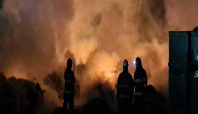 A aruncat țigara la întâmplare și a provocat un incendiu violent într-un cimitir din Oradea - incendiu-1635522606.jpg