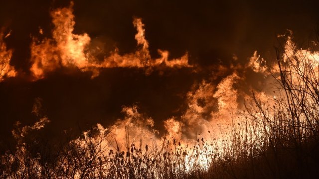Incendiu de vegetaţie în Delta Dunării, în apropiere de Sulina. Pompierii au intervenit rapid