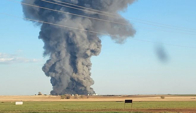 Incident fără precedent! Peste 18.000 de vaci au murit într-un incendiu. Pompierii au salvat un angajat
