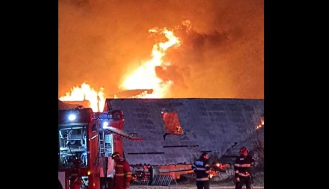INCENDIU PENSIUNE / Ferma Dacilor funcționa fără autorizație de securitate la incendiu - incendiu-1703580265.jpg