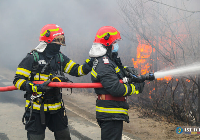 Incendiu la o stână de oi din județul Constanța - incendiu-1765443560.jpg