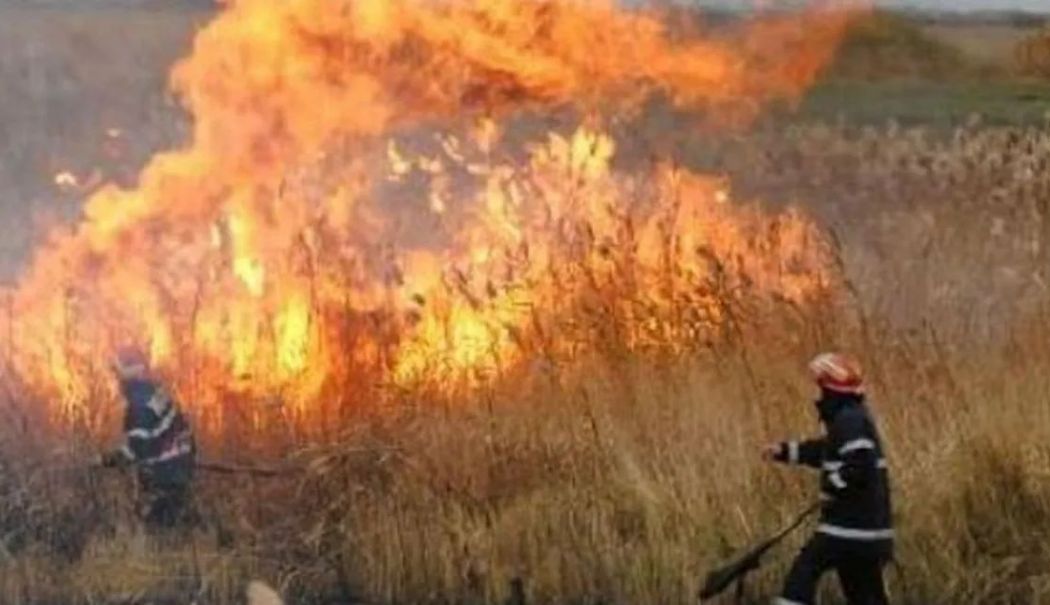Incendiu de proporții în localitatea Aliman. Au ars 80 ha de vegetație uscată și stuf