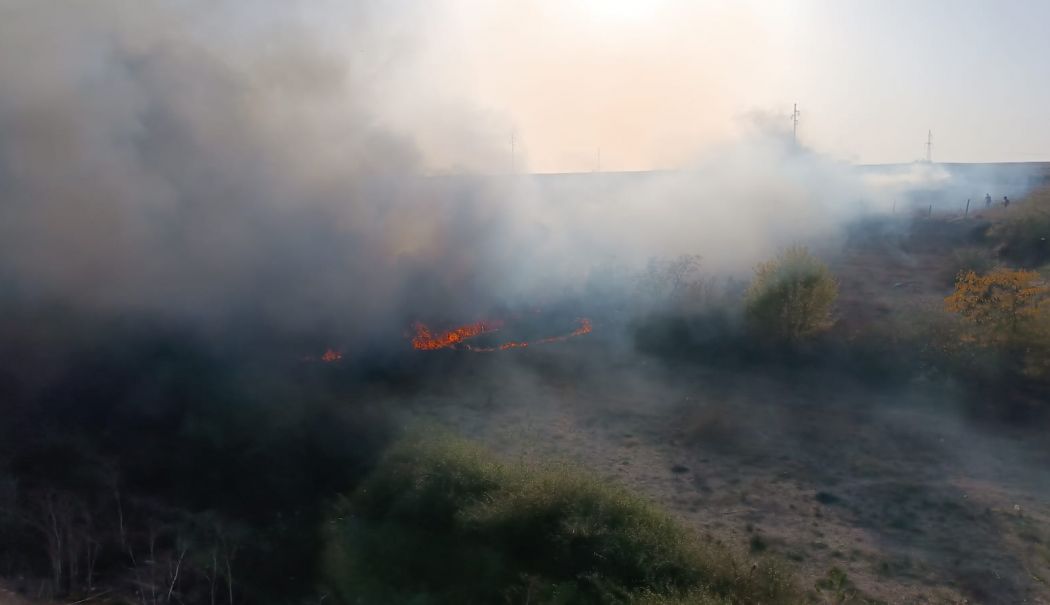 Sute de hectare au ars luna trecută în județ. Fumatul în spații interzise, principala cauză