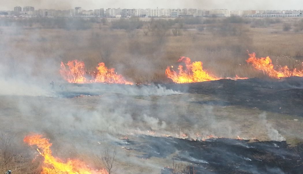 Arde miriștea între Lumina și Năvodari, pe DJ 226