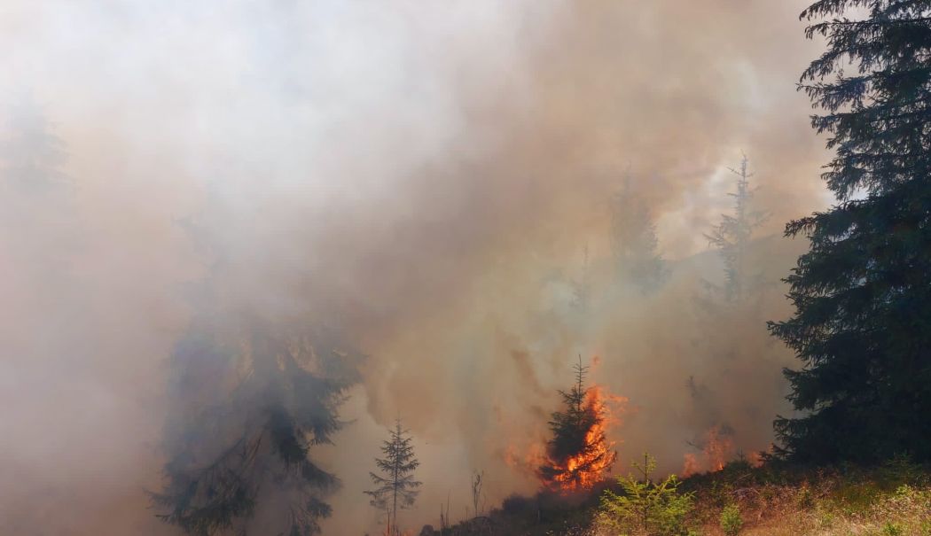 Incendiu uriaș de pădure. O mănăstire a fost salvată de pompieri din calea flăcărilor - incendiu-padure-1745159872.jpg