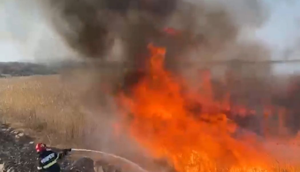 Incendiu vegetație în localitatea Somova din Tulcea - incendiu-tulcea-1739459622.jpg