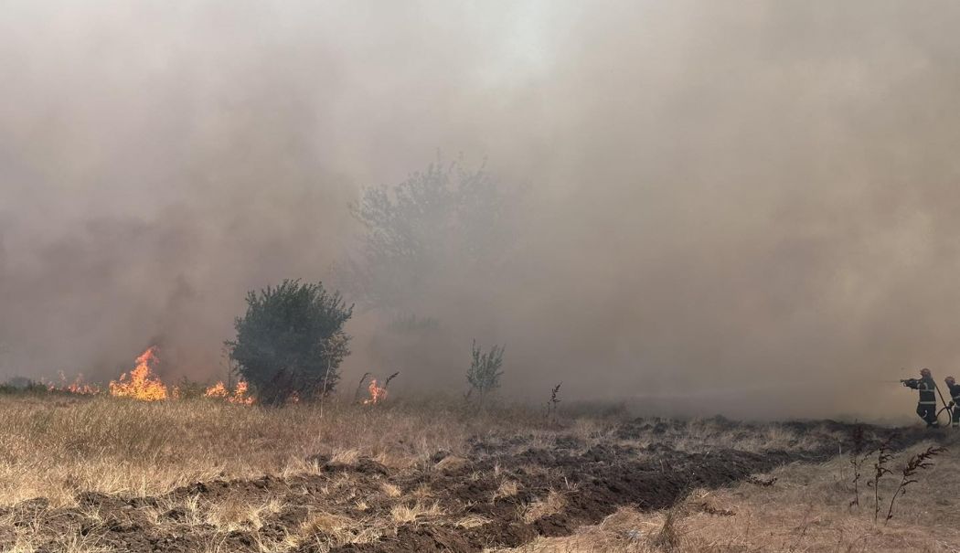 Incendiu de vegetație uscată, la Poarta Albă! Intervin opt autospeciale de stingere - incendiu-vegetatie-1750769848.jpg