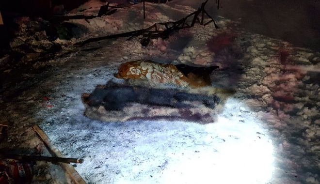 Incendiu devastator în județul Constanța. Doi bărbați, carbonizați - incendiu1-1520011694.jpg