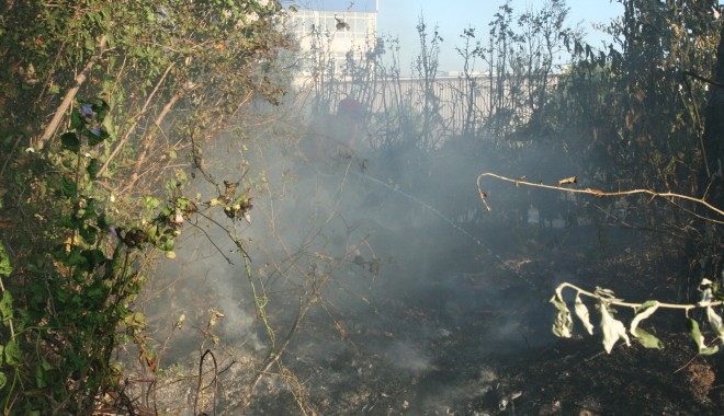 Flăcări în pădurea de la Valu! - incendiu2-1332070587.jpg
