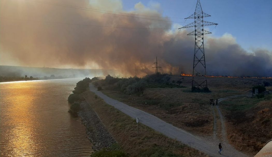 Trenuri oprite temporar din cauza incendiului de vegetație, pe calea ferată București-Constanța