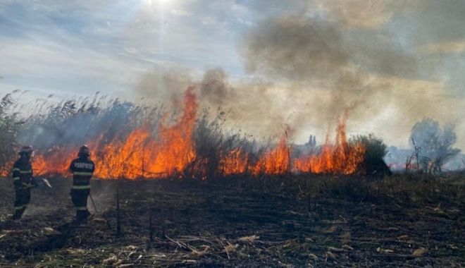 Incendiu în Delta Dunării: Elicopterul SMURD intervine pentru salvarea a doi adulți și un copil