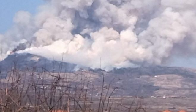 Nivel maxim de alertă la ISU Buzău: Incendiul s-a extins extrem de mult. 