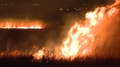 Grigore Baboianu: Cei care au incendiat Delta vor plăti contravaloarea prejudiciului adus naturii - incendiudelta239189400-1313910928.jpg