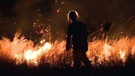 Incendiu Deltă / Primele măsuri luate vor fi împotriva turismului ilegal, potrivit Gărzii de Mediu - incendiudelta341855300-1313911129.jpg
