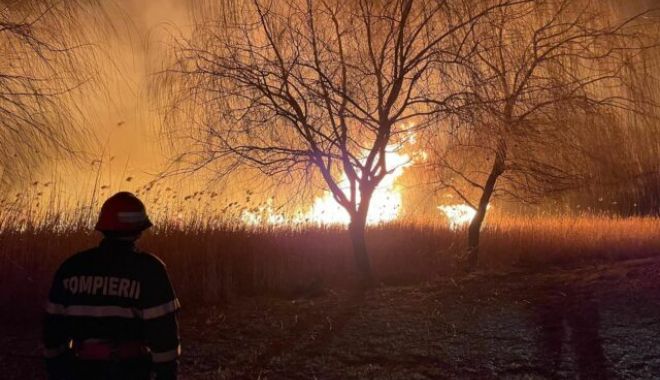 SEARĂ DE FOC PENTRU POMPIERII TULCENI! S-a intervenit în forță pentru stingerea incendiului extins - incendiudevegetatie640x400-1679729773.jpeg