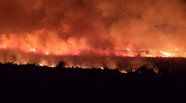 Video. INCENDIU DE PROPORȚII, în vecinătatea PENITENCIARULUI POARTA ALBĂ! Au ars 50 de hectare de vegetație și 3 clădiri abandonate! - incendiudevegetatiedevastatorina-1689746824.jpg