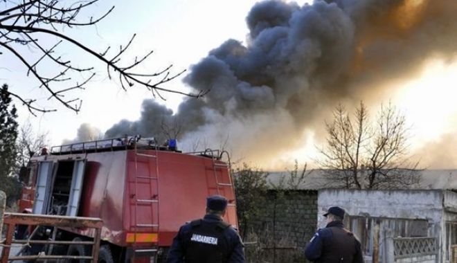 Incendiu la o fermă din Brăila, afectată de pesta porcină: 1.700 de porci au murit - incendiuferma-1536561804.jpg