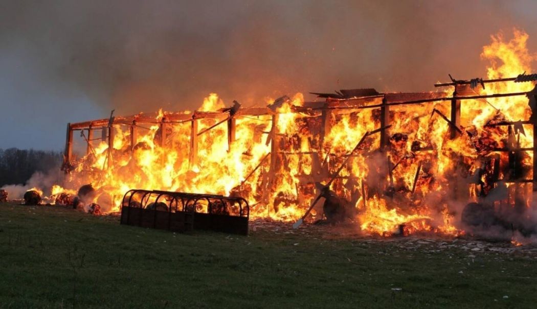 Incendiu la o fermă din județul Constanța! Au ars mii de metri pătrați de vegetație uscată - incendiuferma1734365660-1752654676.jpg