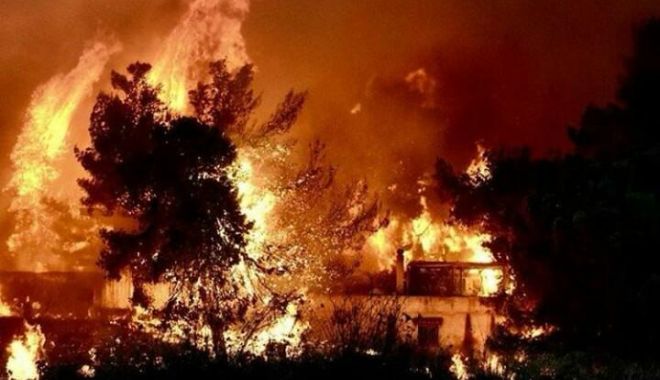 Victimele din Grecia, identificate cu probele ADN. Martor: 