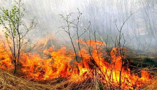 DEZASTRU LA HÂRȘOVA! Ard hectare de vegetație uscată! Pompierii sunt chemați de acasă! - incendiuincendiivegetatie0542970-1553597591.jpg
