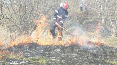 Piromanii miriștilor au fost amendați - incendiumiriste89236400-1320150484.jpg