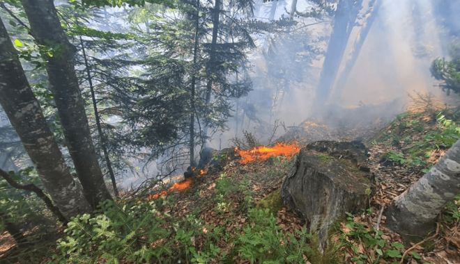 Incendiul de pădure din parcul naţional german Harz continuă să se extindă - incendiupadure-1662385444.png
