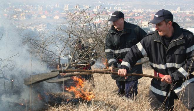 Incendiile de vegetație, un real pericol la Constanța - incendiupadure01-1429613916.jpg