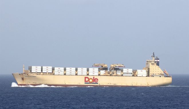 Incendiu pe un portcontainer, în Wilmington, SUA - incendiupeunportcontainerinwilmi-1625578125.jpg